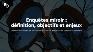 Enquêtes miroir  définition, objectifs et enjeux