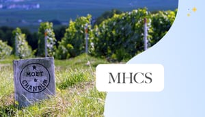 Interview de MHCS, entreprise cliente chez People Vox